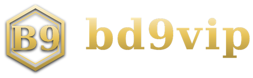bd9vip logo